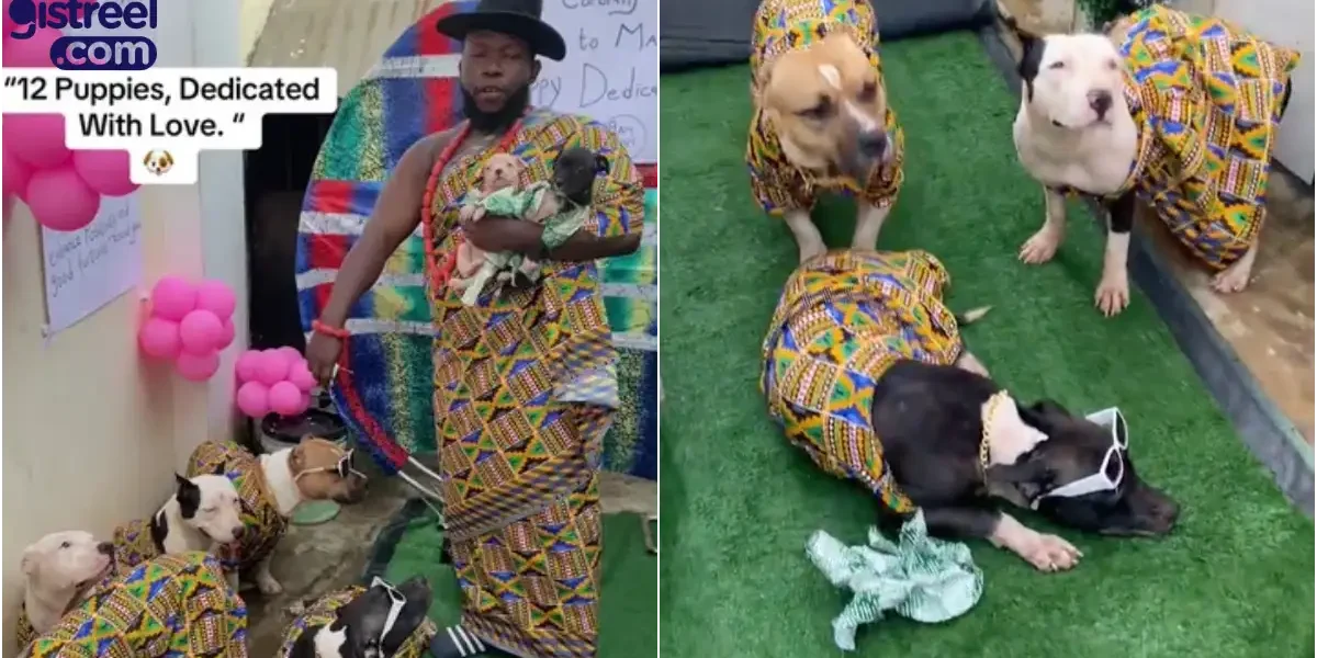 Man throws dedication ceremony for his 12 puppies in matching outfits